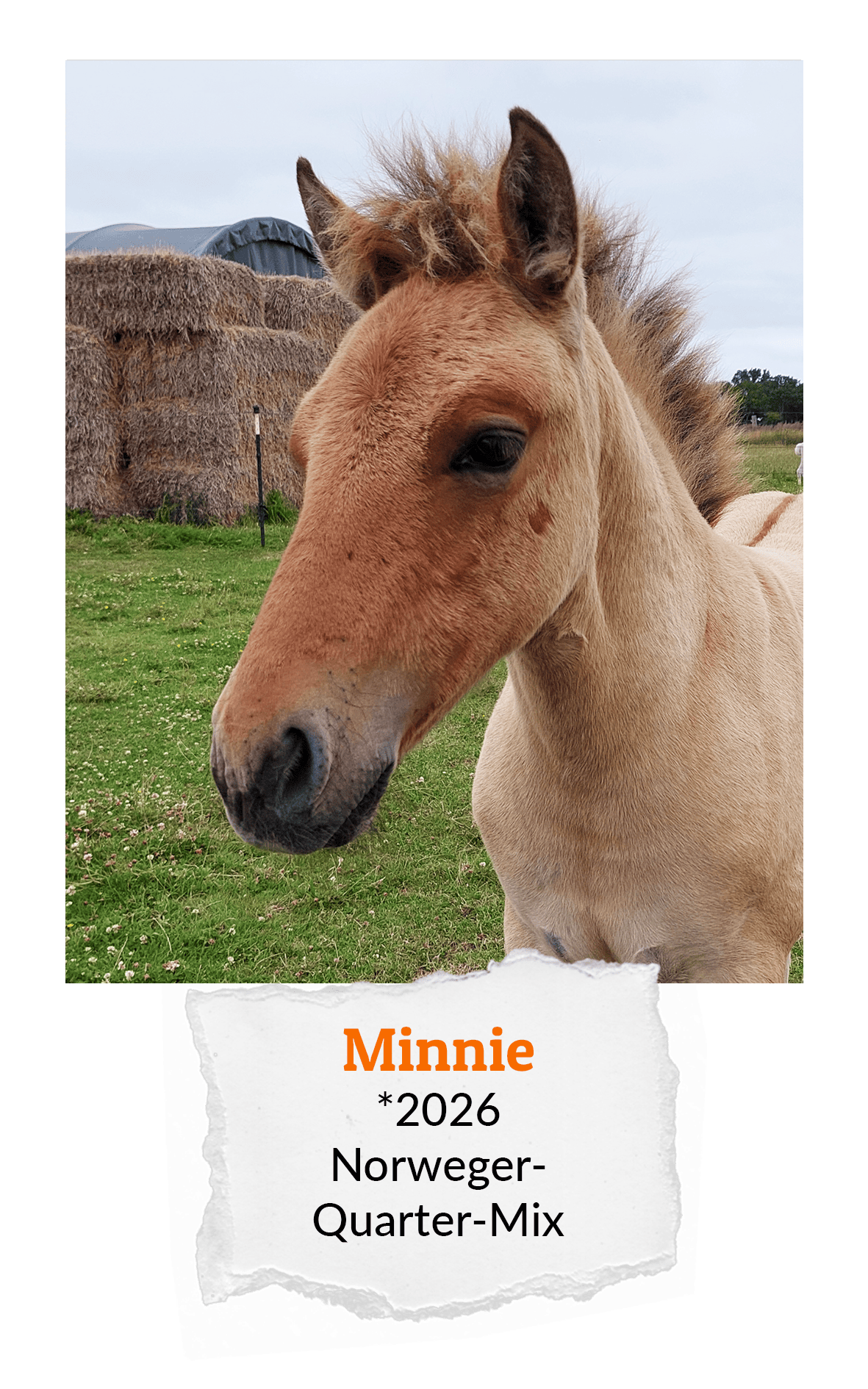 Min