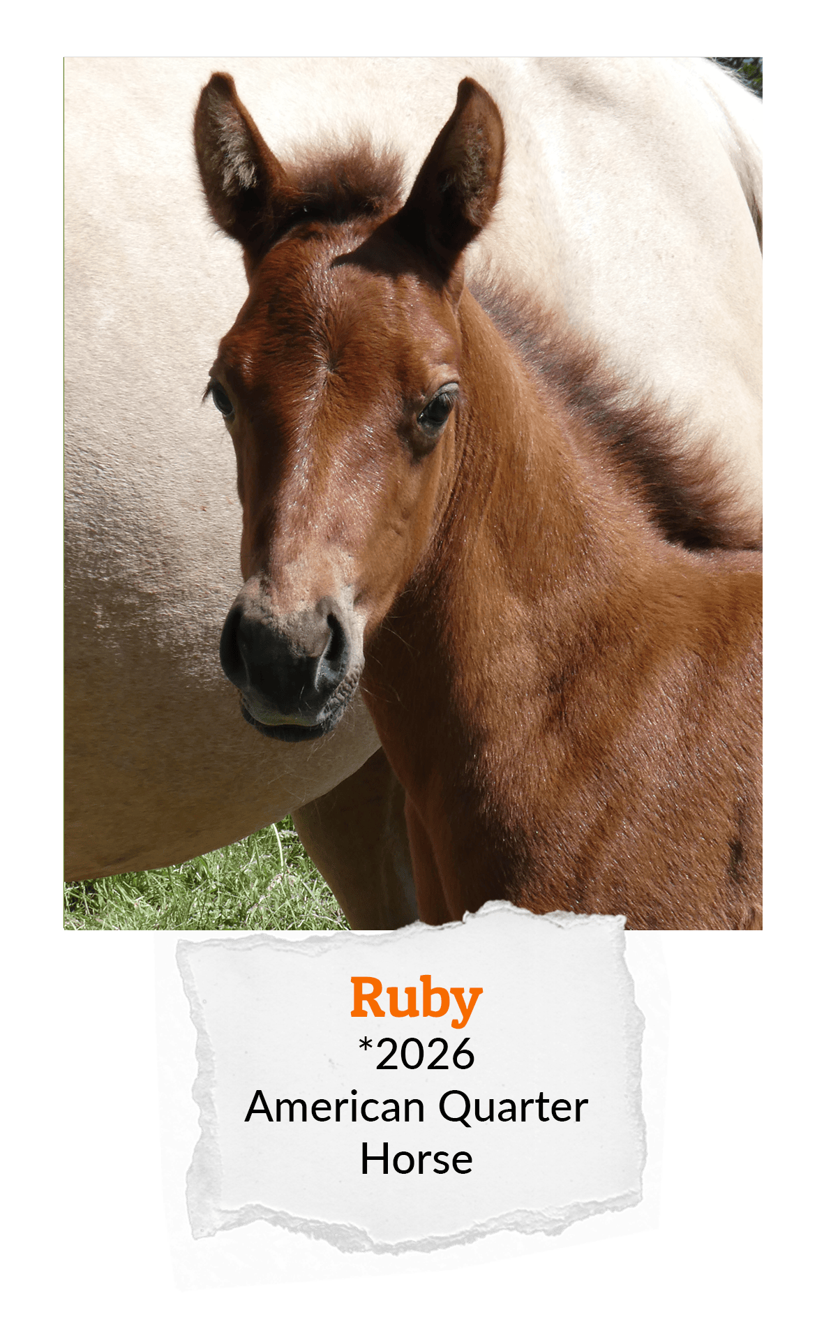 Ruby